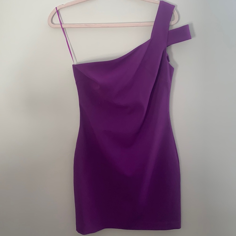 NWT LIKELY Mini Packard Dress Size 8